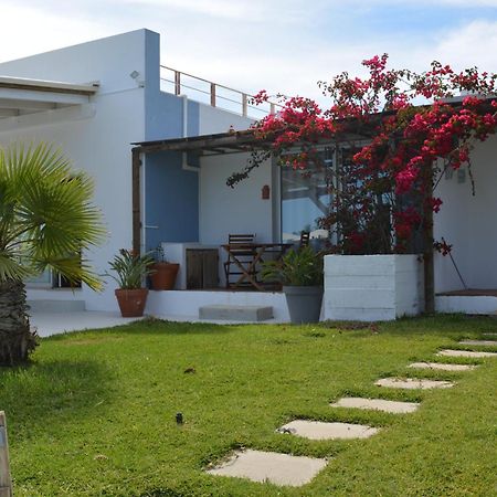 Quinta Luz Do Sol Bed & Breakfast Moncarapacho Ngoại thất bức ảnh
